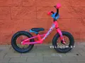 Focus Raven Rookie Run розовый 1