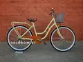 Aist Avenue бежевый/коричневый 1