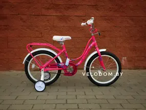 Stels Wind 18" Z020 розовый 1