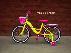 Aist Lilo 20" лимонный/розовый 1