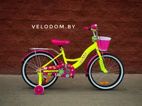 Aist Lilo 20" лимонный/розовый 1