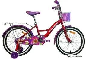 Aist Lilo 20" бордовый/фиолетовый 1