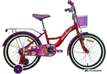 Aist Lilo 20