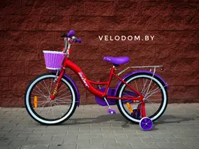 Aist Lilo 20" бордовый/фиолетовый 1
