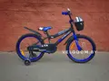 Delta Sport-20" черный/синий 1