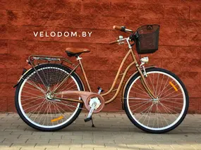 Aist Tango 28 2.0 коричневый 1