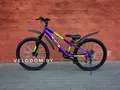 Altair AL 24 D фиолетовый/зеленый 1