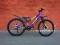 Altair AL 24 D фиолетовый/зеленый 1