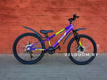 Altair AL 24 D фиолетовый/зеленый 1