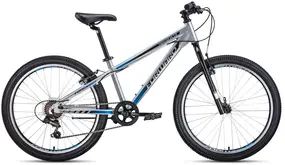 Forward Twister 24 1.0 серый/синий 1