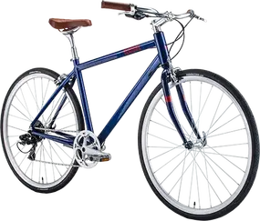 Bear Bike Marsel синий 1