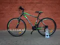 Десна 2910 V 29" серый/зеленый 1