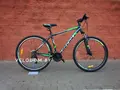 Десна 2910 V 29" серый/зеленый 1