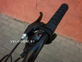 Десна 2910 V 29" серый/зеленый 1