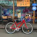 Bear Bike Amsterdam красный 1