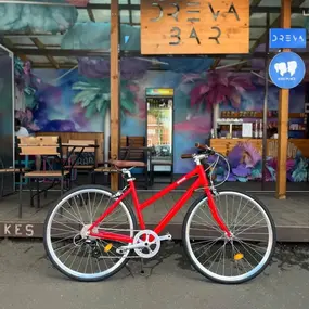 Bear Bike Amsterdam красный 1