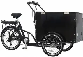 Aist E-Cargo черный 1