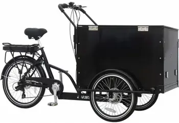 Aist E-Cargo черный 1