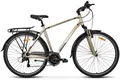 Stels Navigator-800 Gent 28" V010 бежевый/черный 1