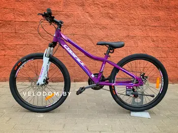 Codifice Candy 24 Фиолетовый 1