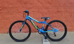 Booster Plasma 240 синий 1