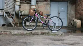 Booster Plasma 240 черный/розовый 1