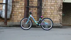 Polar Modesty 24 бирюзовый 1