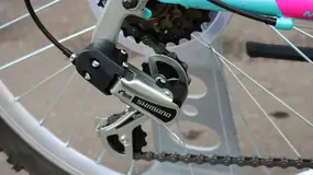 Polar Modesty 24 бирюзовый 1