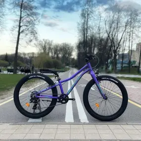 Merida Matts J24+ Eco темно-фиолетовый/розовый 1