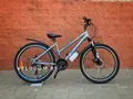 Greenway Colibri-h 26" серый/голубой 1