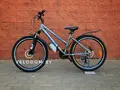 Greenway Colibri-h 26" серый/голубой 1