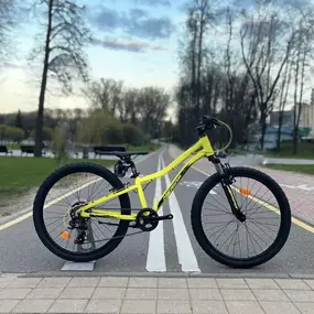 Merida Matts J24 Eco желтый-черный 1