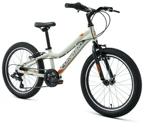 Forward Twister 20 1.0 серый/оранжевый 1