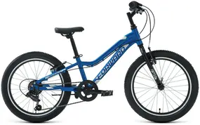 Детский велосипед Forward Twister 20 1.0 синий/белый 1