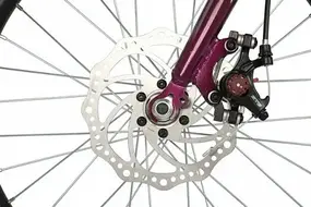 Novatrack Alice 20 пурпурный 1