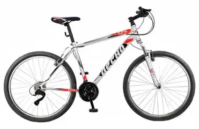 Десна 2710 V серый/красный 1