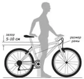 Bear Bike Minsk синий 1