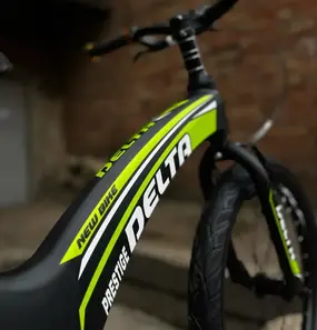 Delta Prestige Maxx 20 D черно-зеленый 1