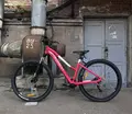 Format 7713 27.5 красный 1