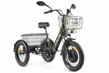 Электротрицикл GREEN CITY e-ALFA Trike черный 1