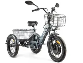 Электротрицикл GREEN CITY e-ALFA Trike  темно-серый 1
