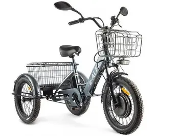 Электротрицикл GREEN CITY e-ALFA Trike  темно-серый 1