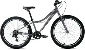 Forward Twister 24 1.0 черный/серебристый 1