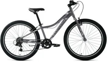 Forward Twister 24 1.0 черный/серебристый 1