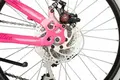Novatrack Alice 20 розовый 1