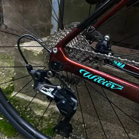 Wilier JENA Patterned Bronze 1