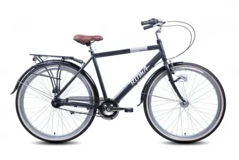 Ritma  Norman 700C серый/серебристый 1