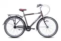 Ritma  Norman 700C коричневый/серебристый 1