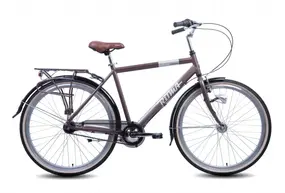 Ritma  Norman 700C коричневый/серебристый 1