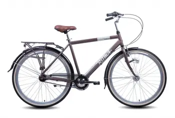 Ritma  Norman 700C коричневый/серебристый 1